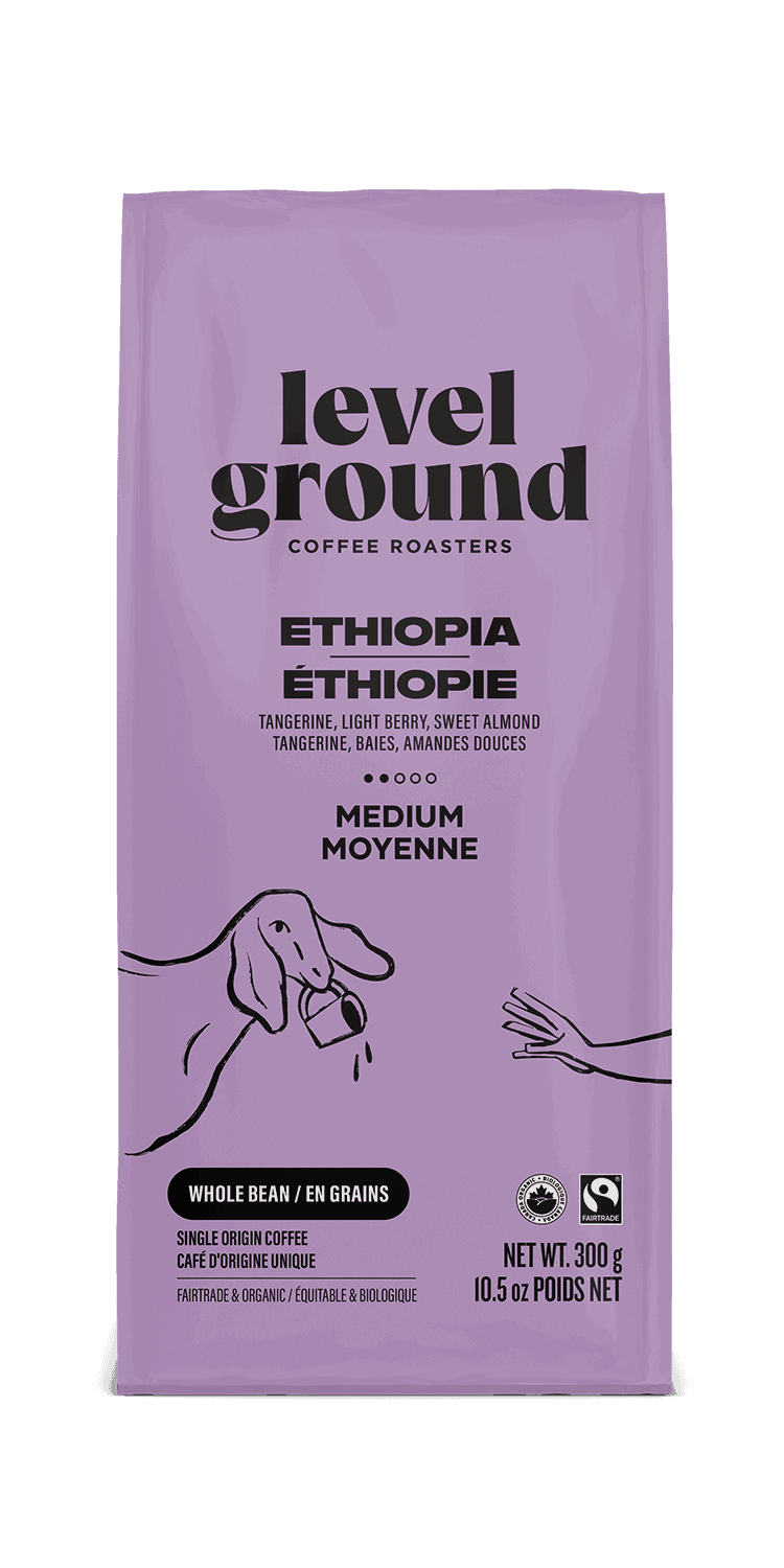 Ethiopian Medium Roast Coffee