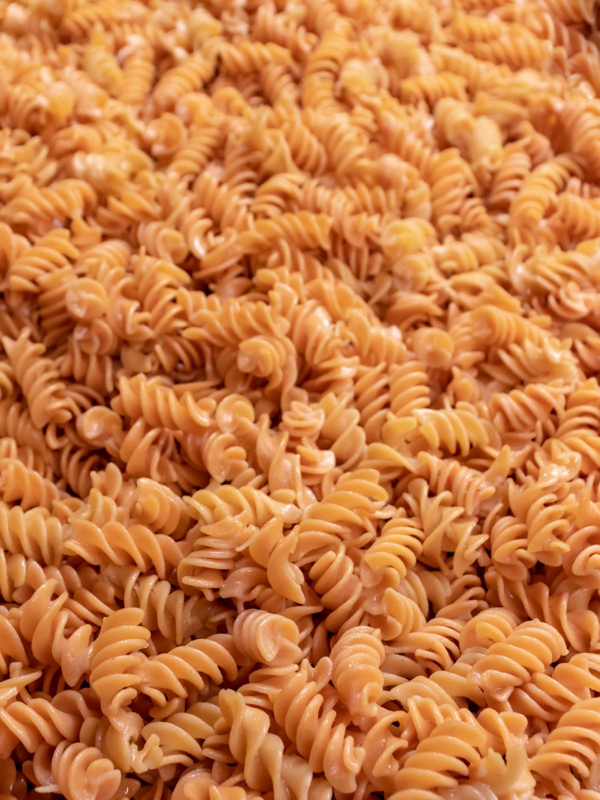 Flower Chef Foods Artisanal Gluten Free Pasta – High Protein Fusilli Pasta  (Single Pack)