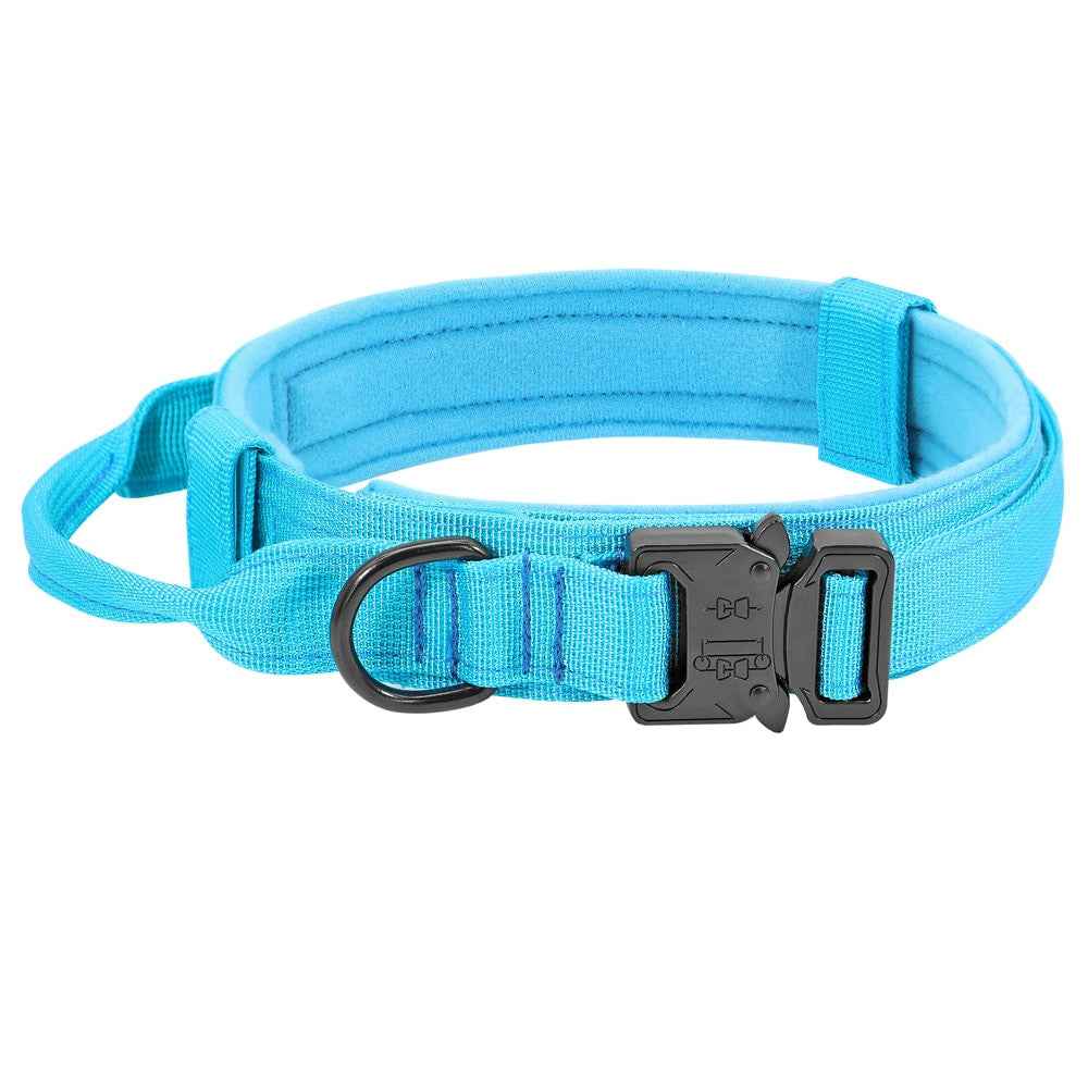 Durable Dog Collar &amp; Leash Set — Adjustable, Comfortable, Everyday Use
