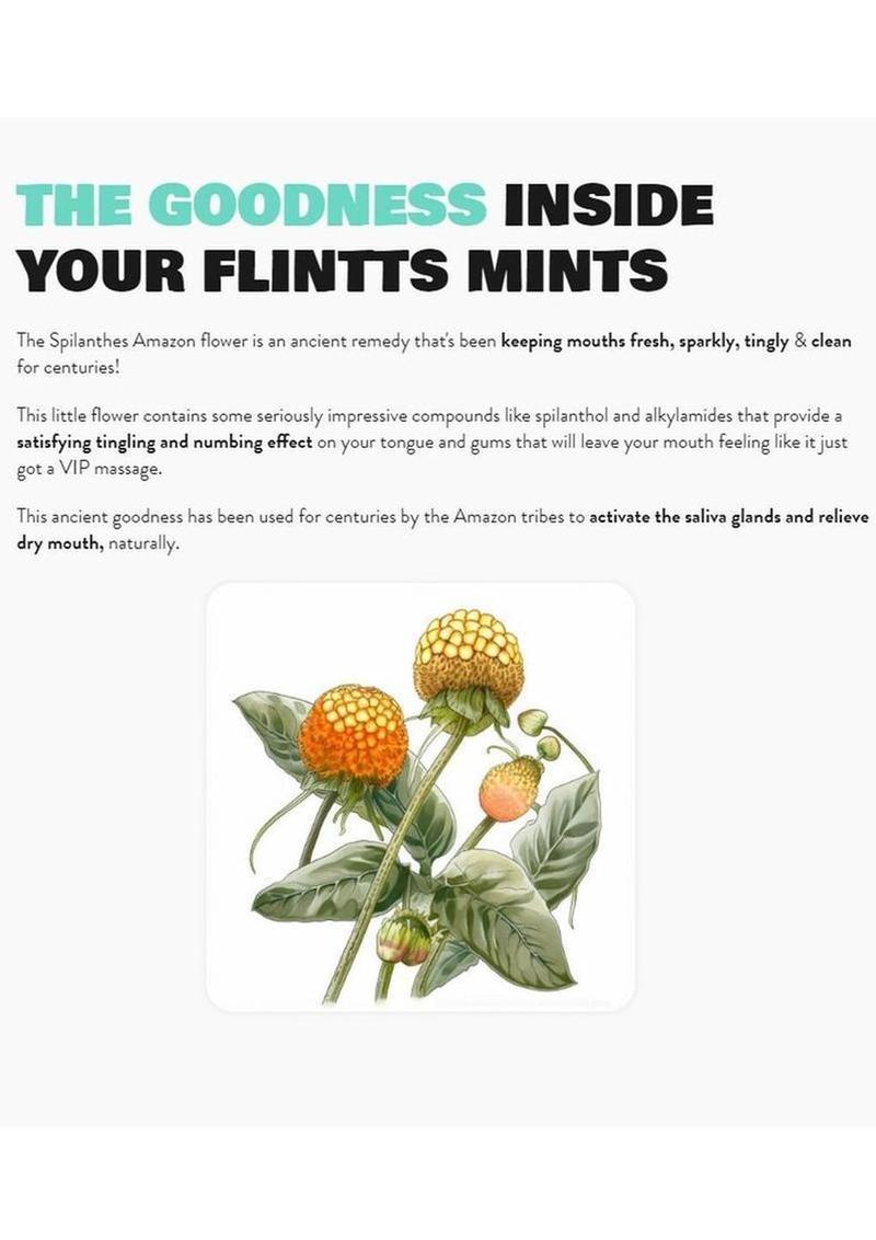Flintts Mouth Watering Mints Luxury Grape Oral Delights