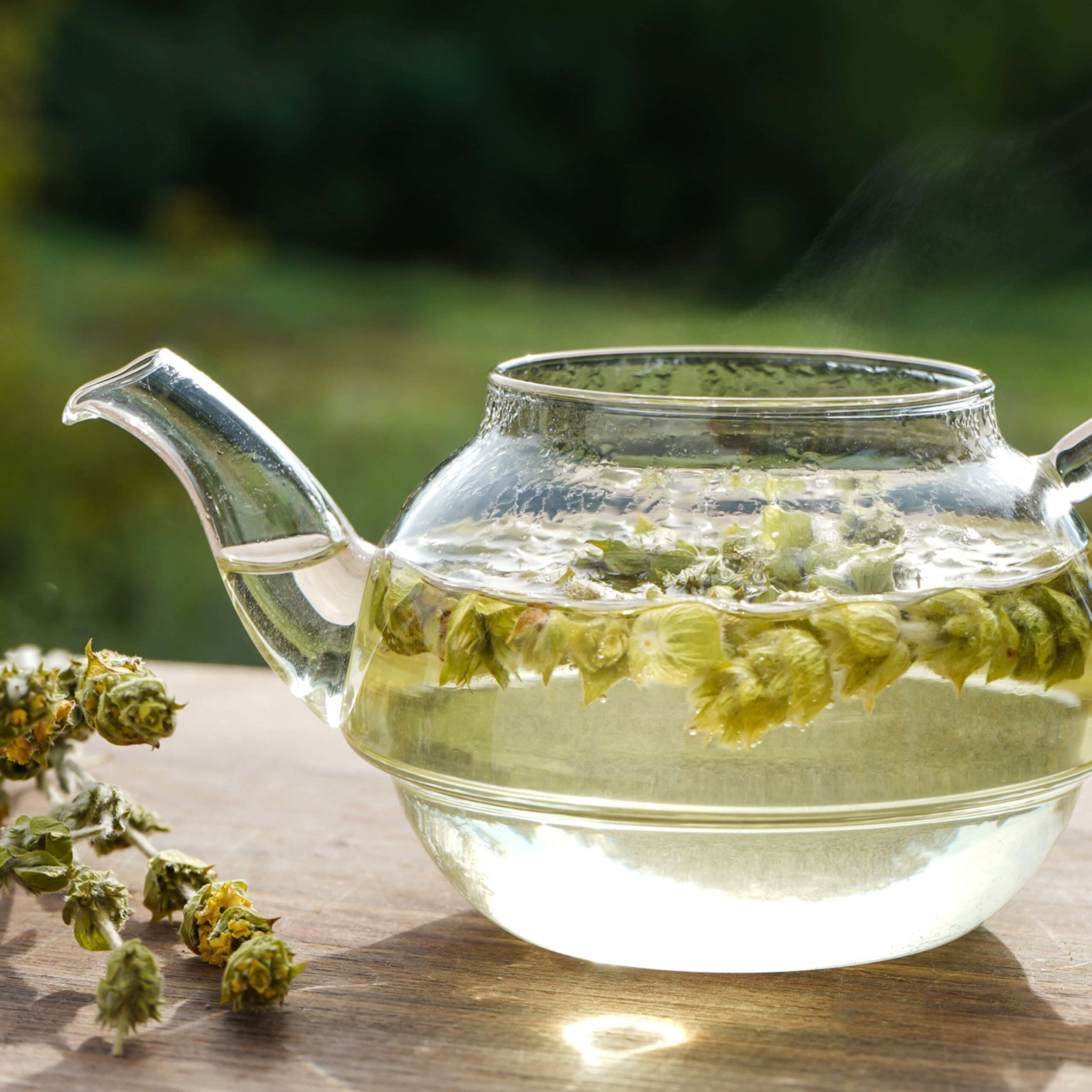 Greek Mountain Tea (Mount Olympus)