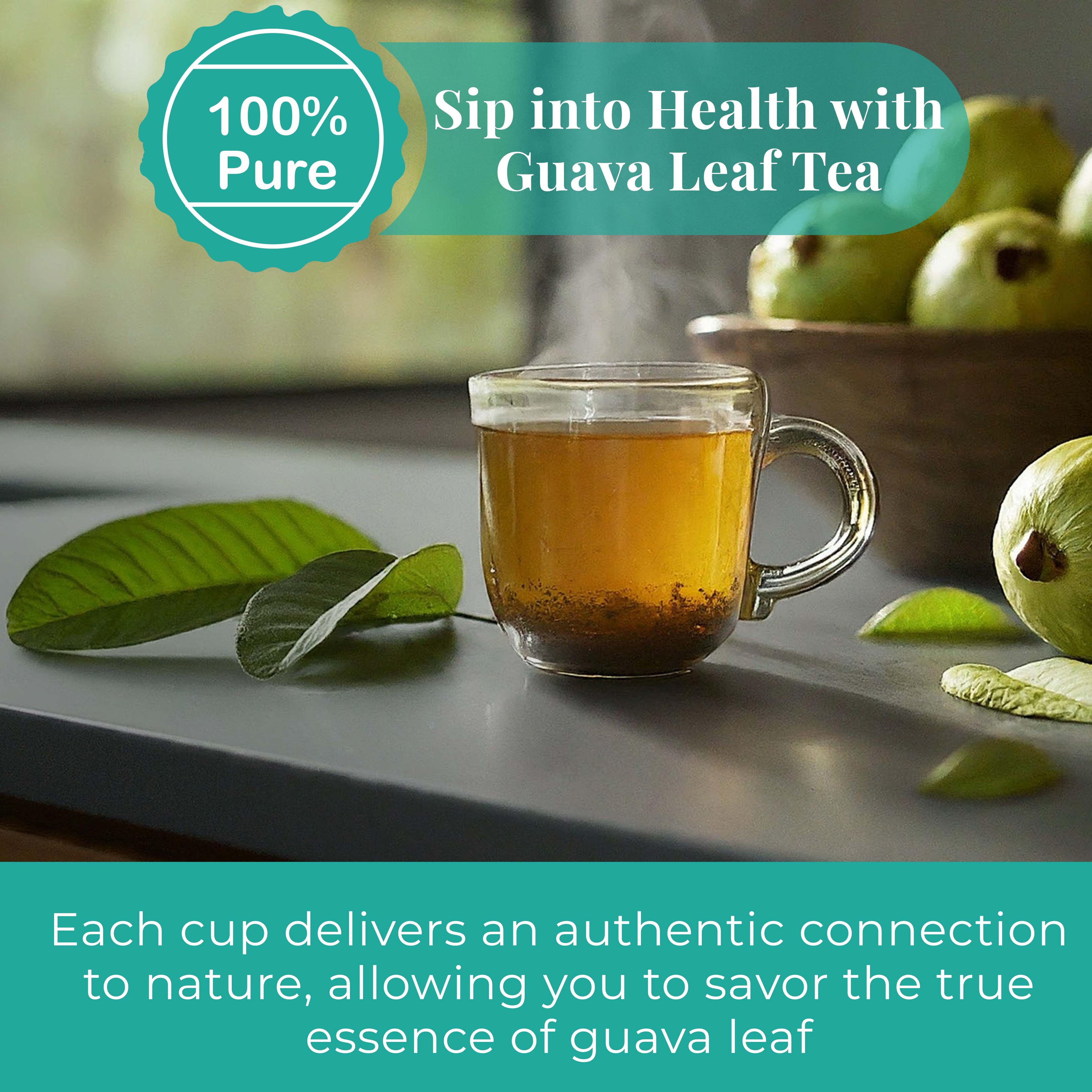 Dried Guava Leaves 2.6oz – Loose Leaf Herbal Tea for Digestion & Immunity | Non-GMO, Vegan