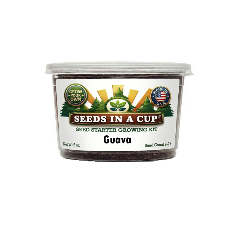 Tree & Vine Seed Growing Kit – Multiple Tree Varieties