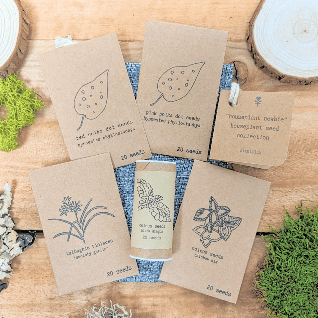 "Houseplant Newbie" Houseplant Seed Collection