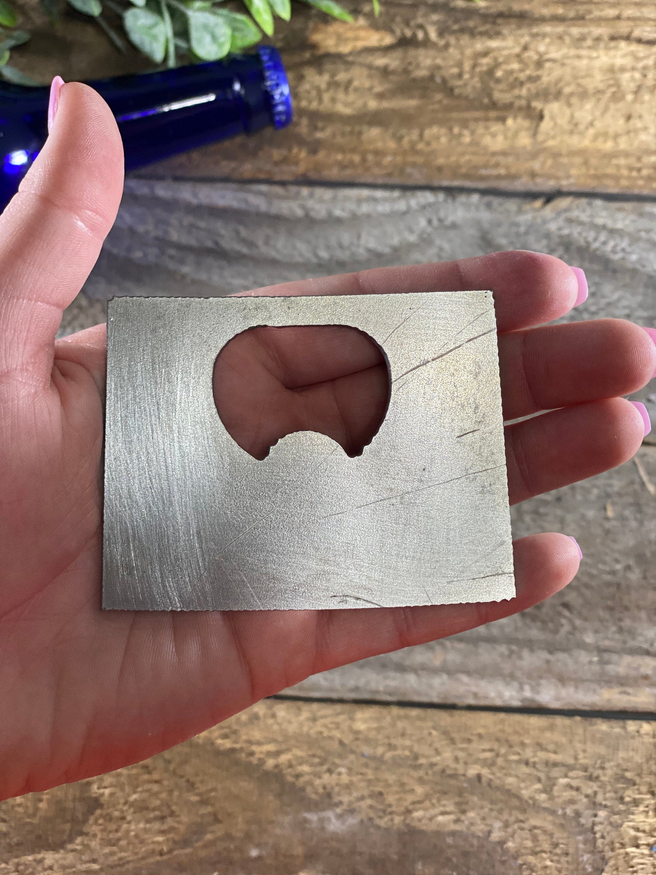 Colorado State Bottle Opener