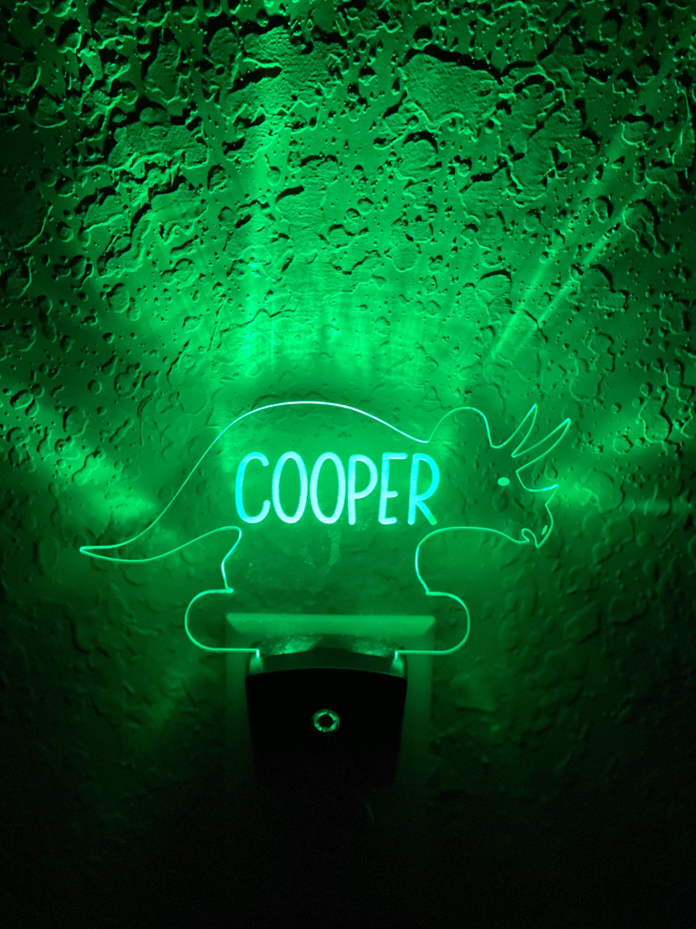 Personalized LED Styracosaurus  Dinosaur Night Light | 7 Color Changing | Plug in Night Light | Name Light | Children's Night Light