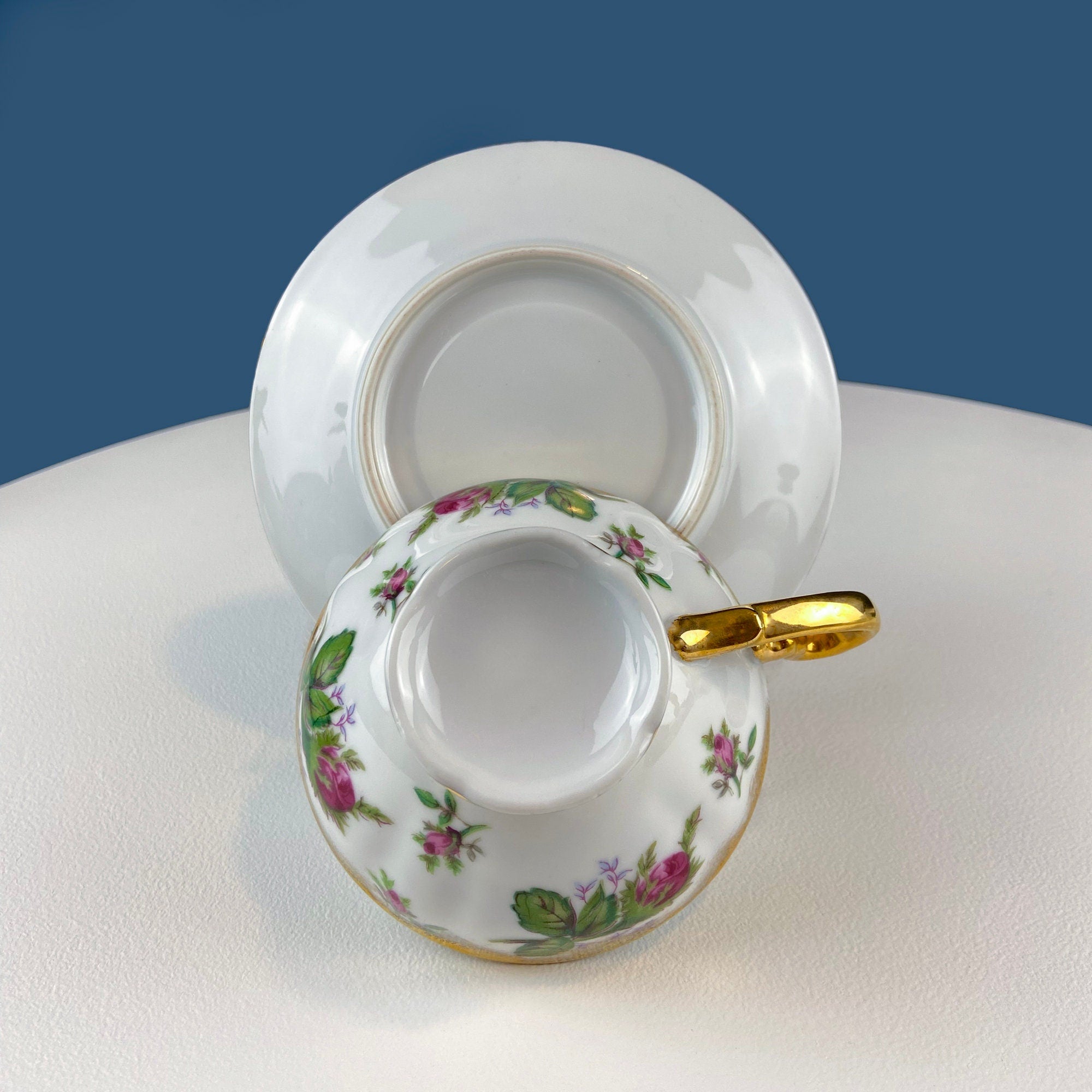 Vintage Moss Rose Tea/Coffee Cup and Saucer. Collectible Porcelain Set. Dining Room Decor. Modern Farmhouse. Gift for Him Her.