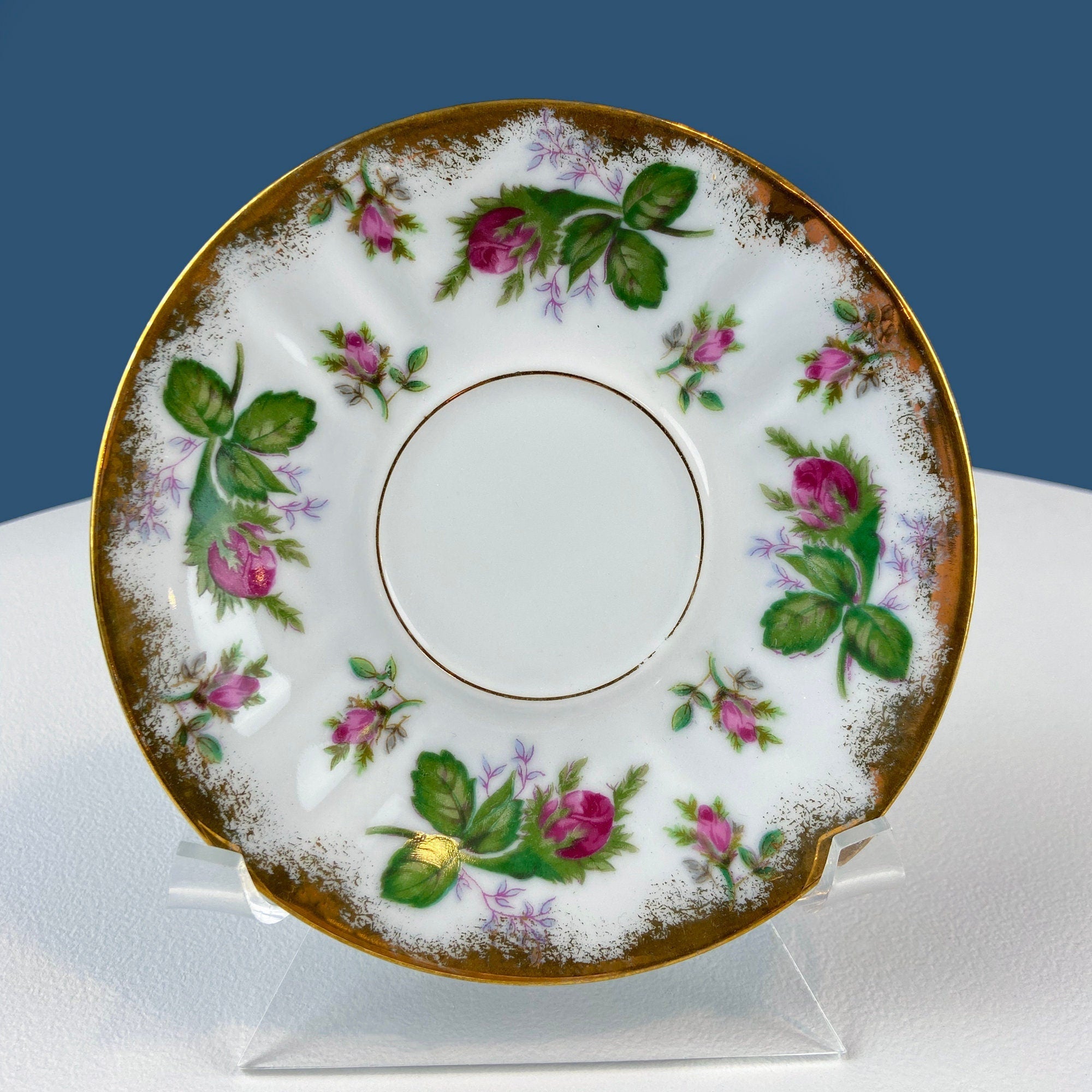 Vintage Moss Rose Tea/Coffee Cup and Saucer. Collectible Porcelain Set. Dining Room Decor. Modern Farmhouse. Gift for Him Her.