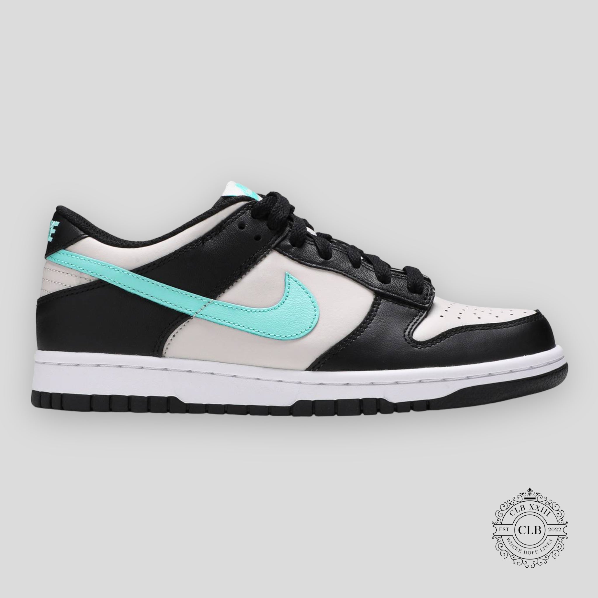 NIKE DUNK LOW (GS) "TROPICAL TWIST"