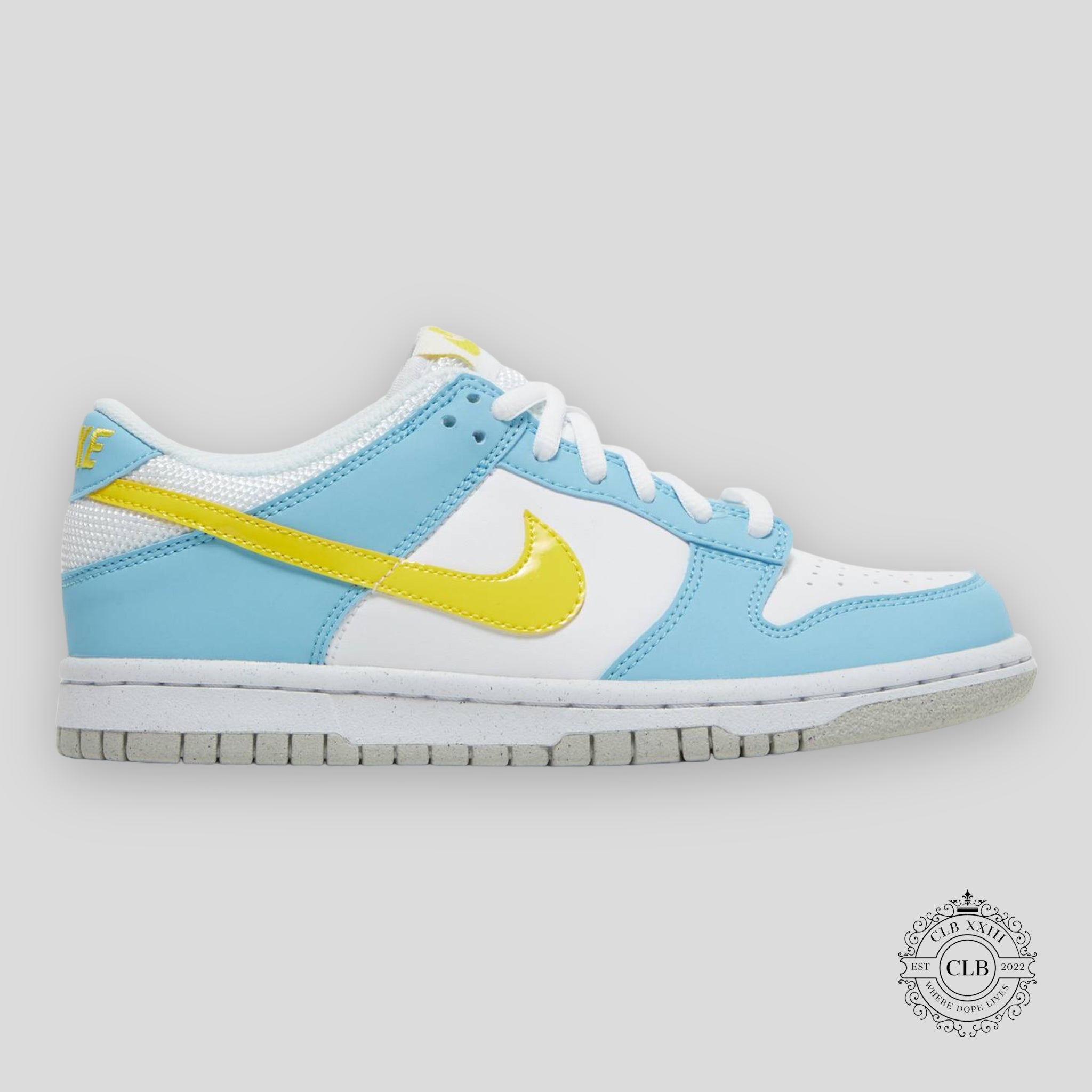 NIKE DUNK LOW NEXT NATURE (GS) "HOMER"
