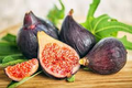 1 Ficus "Black Mission" Fig Tree Starter Plant - Hardy, Healthy, Fresh Ficus Carica, Indoor/Outdoor, Delicious Fruit, Home Garden, Edible