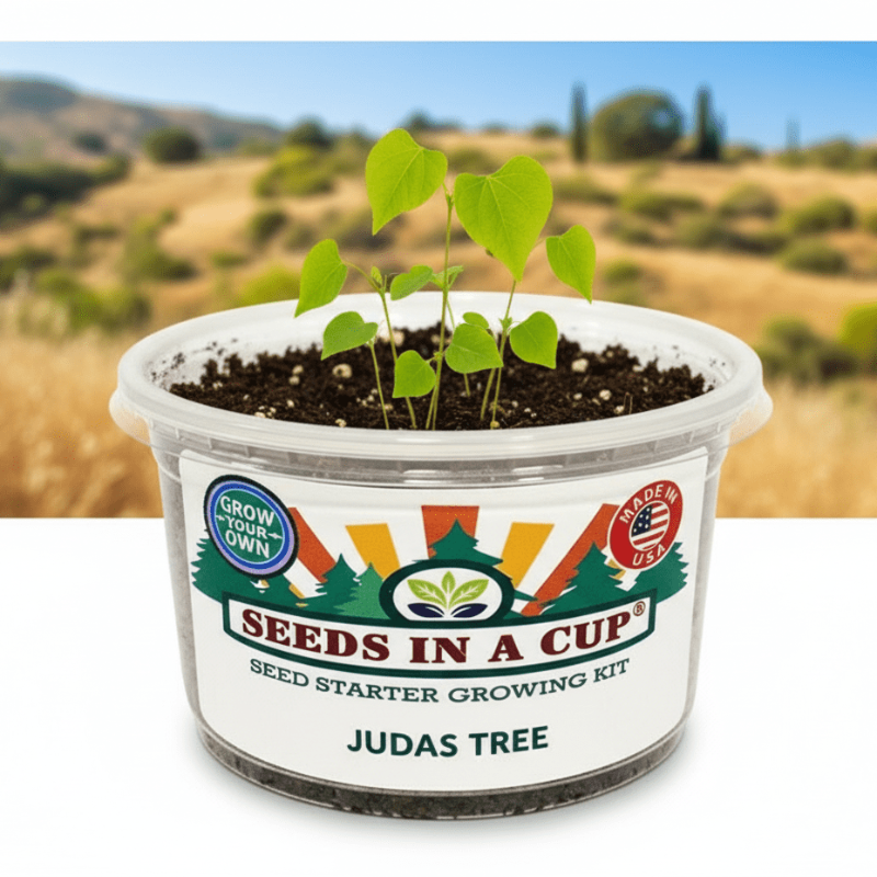 Tree & Vine Seed Growing Kit – Multiple Tree Varieties