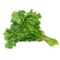 Organic Cilantro️
