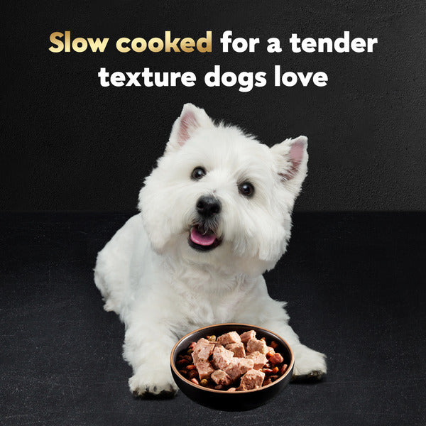 Cesar Loaf in Sauce Adult Wet Dog Food Grilled Steak & Eggs Flavor, 3.5 oz. Tray