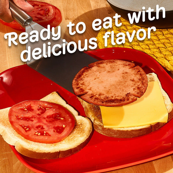 Oscar Mayer Thin Sliced Bologna Sliced Deli Sandwich Lunch Meat