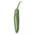 Green Serrano Pepper️