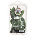 Meyer Farms Mint, Organic️