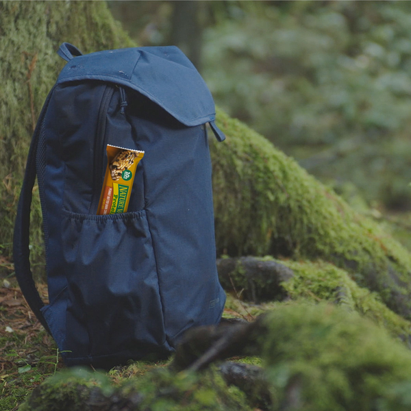 Nature Valley Chewy Protein Peanut Butter Dark Chocolate Granola Bars