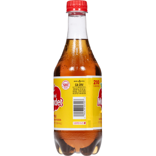 Sidral Mundet Soda, Apple