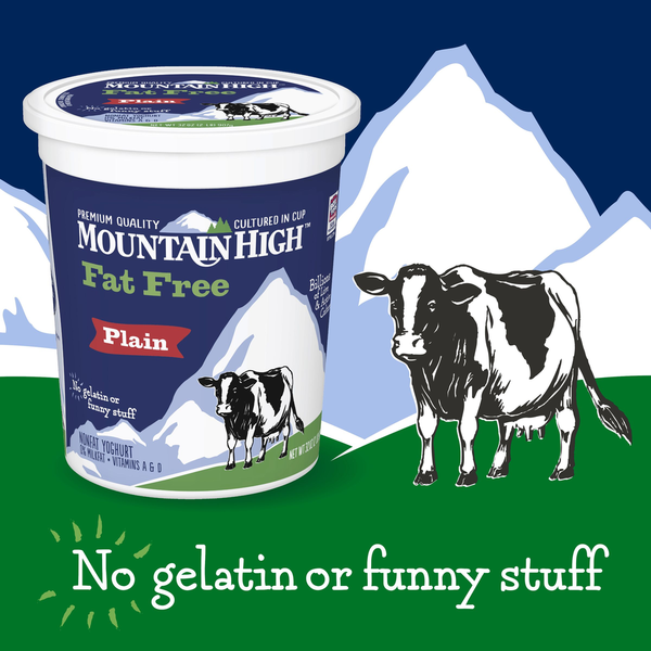 Mountain High Yoghurt Fat Free Plain Yogurt
