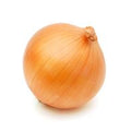 Yellow Onion️