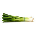 Green Onions (Scallions)️