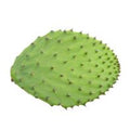 Cactus Leaf️