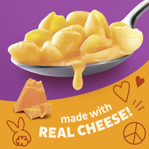 Annie's Organic Shells Pasta and Aged Cheddar Cheese