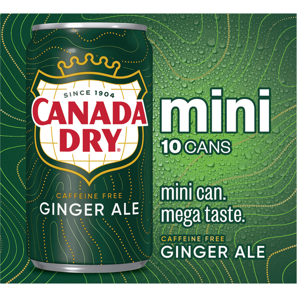 Canada Dry Ginger Ale, Mini