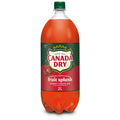 Canada Dry Fruit Splash Cherry Ginger Ale