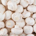 White Mushroom️