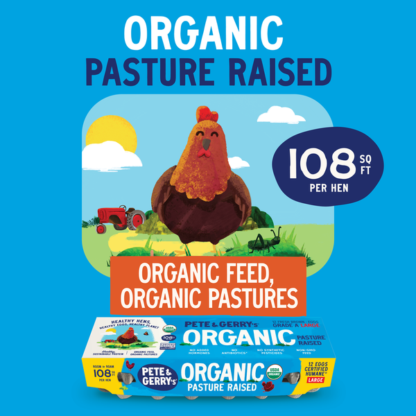 Pete & Gerry's Organic Pasture Raised Eggs, Large