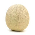 Cantaloupe️