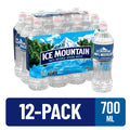 ICE MOUNTAIN Natural Spring Water