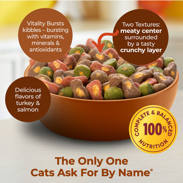 Meow Mix Tender Centers Dry Cat Food With Vitality Bursts Salmon & Turkey Flavors