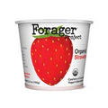 Forager Project Organic Cashew & Coconut Milk Yogu...
️