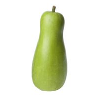 Opo Squash️
