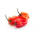 Habanero Pepper Package️