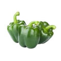 Organic Green Bell Pepper️