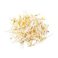 Bean Sprouts️