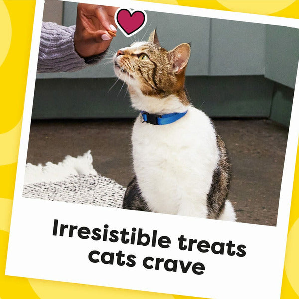 TEMPTATIONS Tempting Tuna Flavor Treats for Cats
