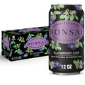 Bonsai™ Blackberry Lime Sweetened Sparkling Water