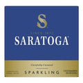 SARATOGA Sparkling Spring Water, Glass Water Bottl...
️