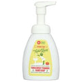 Rebel Green Organic Foaming Hand Soap️