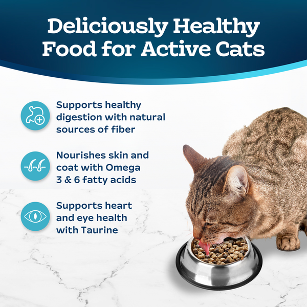 BLUE Wilderness Food for Cats, Natural, Chicken & Brown Rice Recipe, Healthy Living, Adult