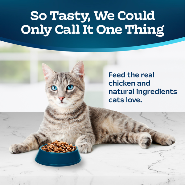 Blue Buffalo Tastefuls Natural Dry Food for Adult Indoor Cats, Chicken & Brown Rice