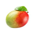 Organic Mango️