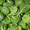 Fresh Express Organic Baby Spinach Salad️