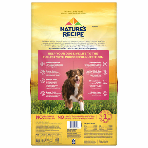 Nature's Recipe Dry Dog Food