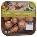 Highline Mushrooms Organic Mini Bella Mushrooms️